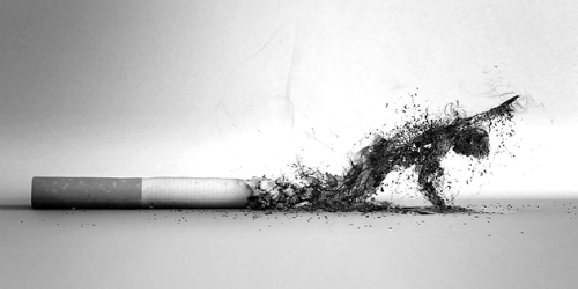 quelques connaissances sur la nicotine