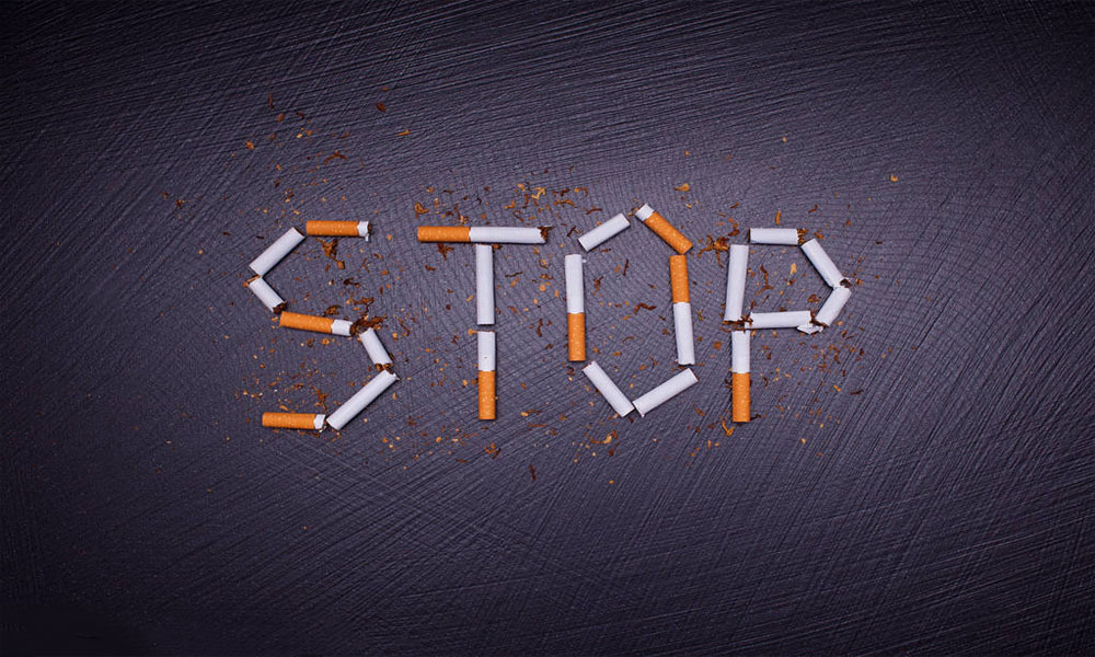 rapport mondial sur le développement de l'industrie du tabac